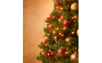[Vianočný stromček s kompletnou vianočnou výzdobou]