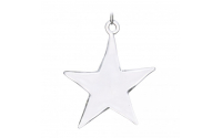[Ľadová závesná hviezda]